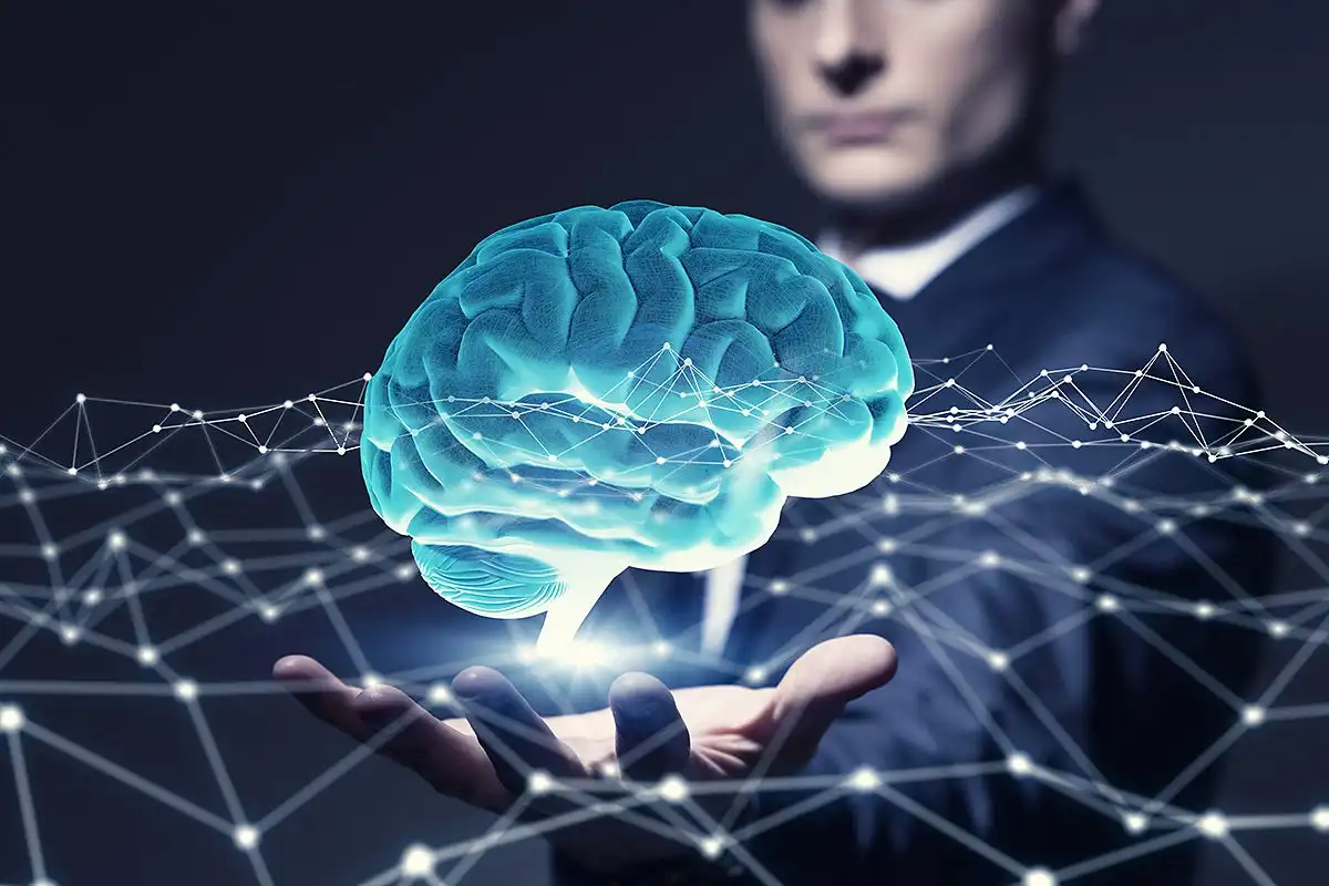 Intelligence